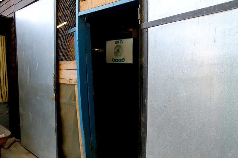 A big dog section kennel
