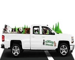 The NORSAH pet transport bakkie