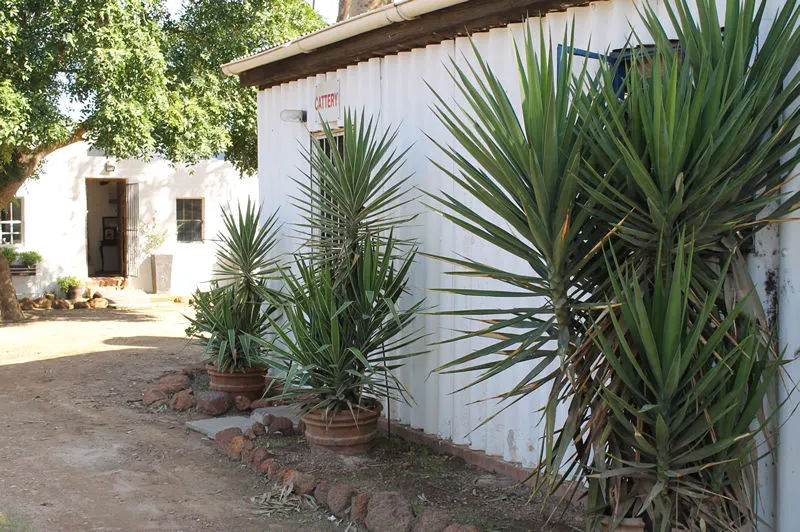 Outside view of our cattery