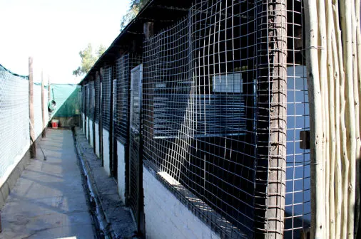 Outside view of our dog kennels
