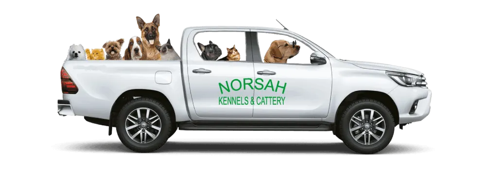 The NORSAH pet transport bakkie